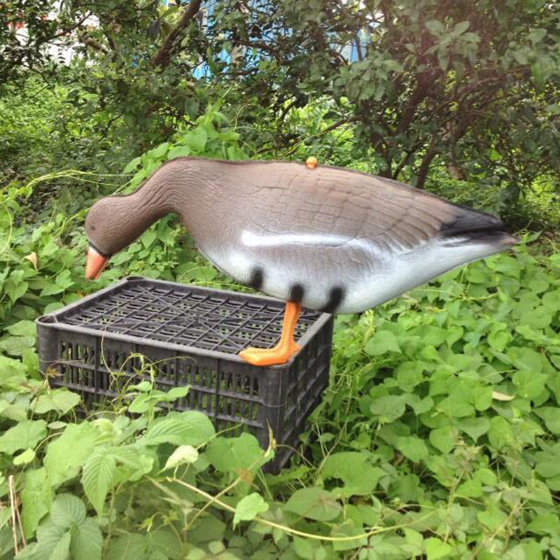 Señuelo de caza de ganso vivo, - Hunting Outdoor Decor reseña y precio